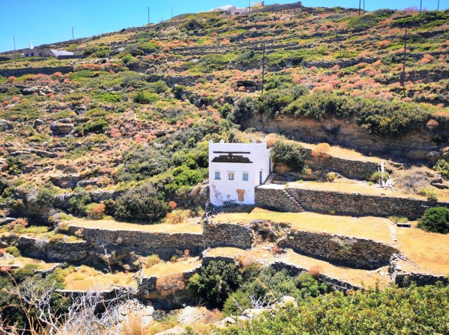 tinos pigeon house